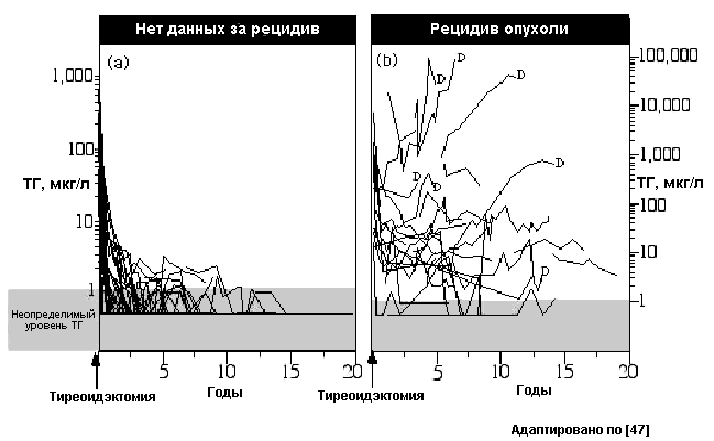 Рис. 4. Динамическое определение уровня ТГ (без супрессивной терапии)